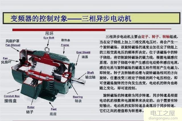 为什么三相异步电动机的旋转磁场是由定子电路和转子电路共同产生