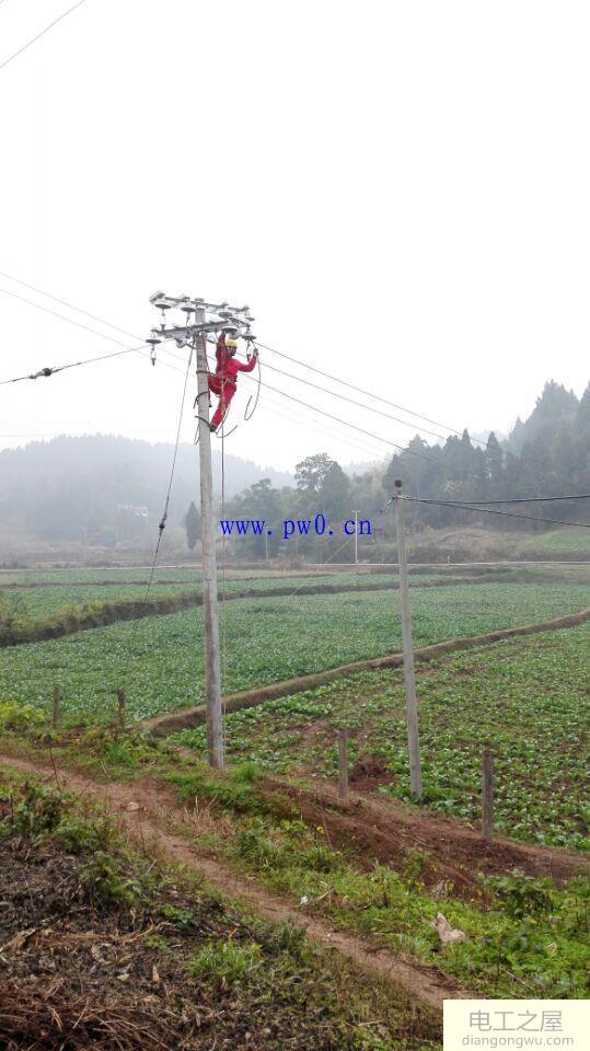农村电网架设电线杆工程图片