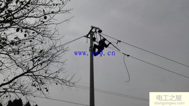 农村电网架设电线杆工程图片