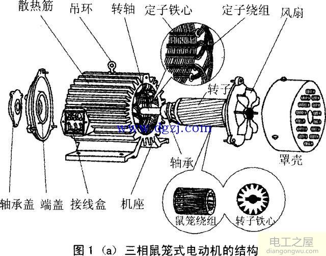 三相异步电动机的转动原理图解