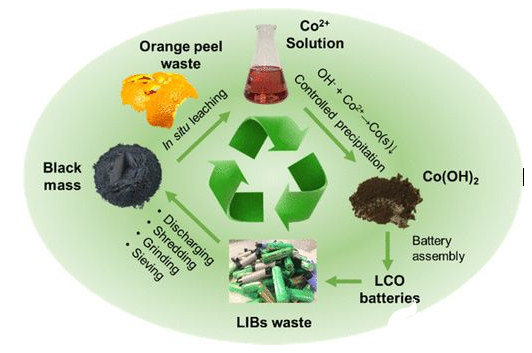 新加坡发现利用果皮废料可从废旧锂离子电池中提取出重金属