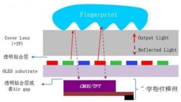 为何LCD屏幕难以实现屏下指纹，它的技术难点是什么