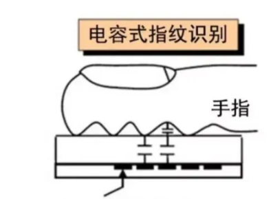 解析市场上的指纹识别技术