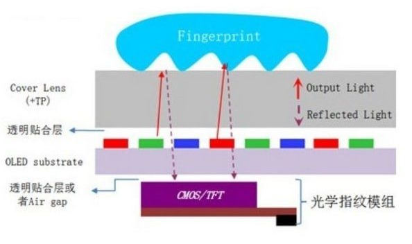 天马微电子发布LCD指纹识别方案，LCD还能否回到当初的“黄金时代”？
