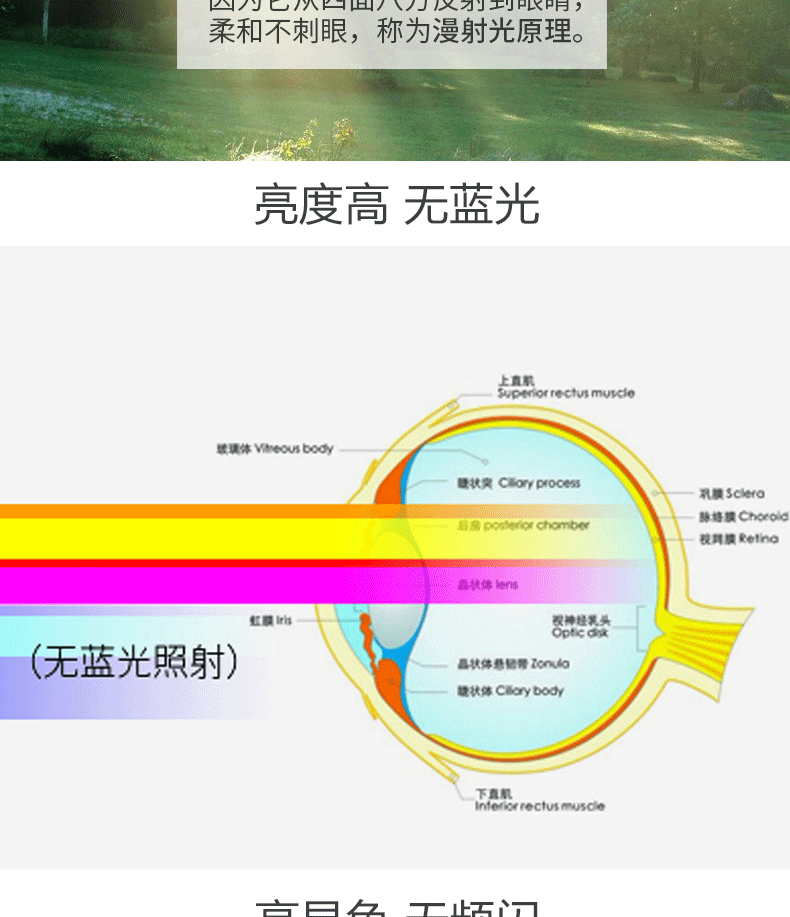 220v灯开关接线方法