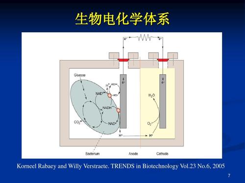 微生物燃料电池物质解析,微生物燃料电池分类介体,进展等信息资料