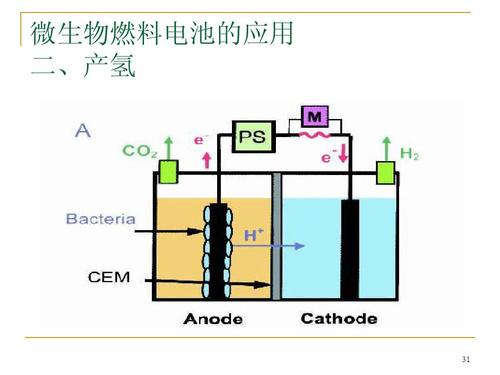 微生物燃料电池物质解析 微生物燃料电池分类介体