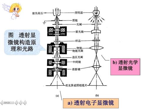 透射电子显微镜简介,透射电子显微镜运行特性,