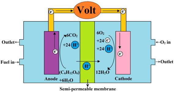 空气燃料电池原理 空气燃料电池特点