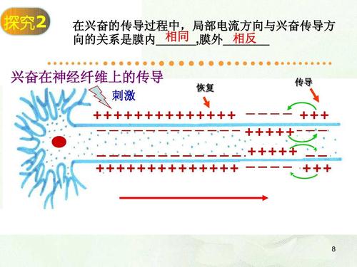 传导电流解释 传导电流举例