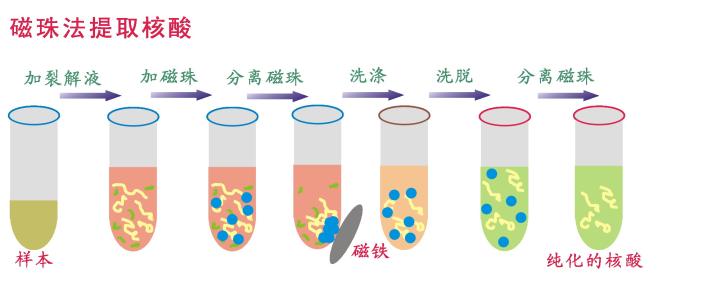 磁珠排基本信息,磁珠排分类,