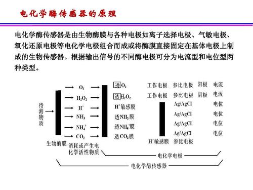 电化学生物传感器分类 电化学生物传感器特点