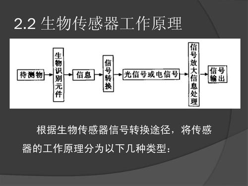 生物传感器特点,生物传感器分类,GMR原理及研究现状等信息资料